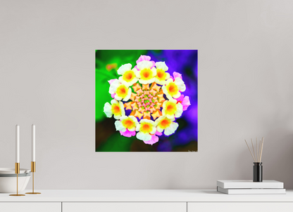 15 x 15″, Matte Canvas Quintessence