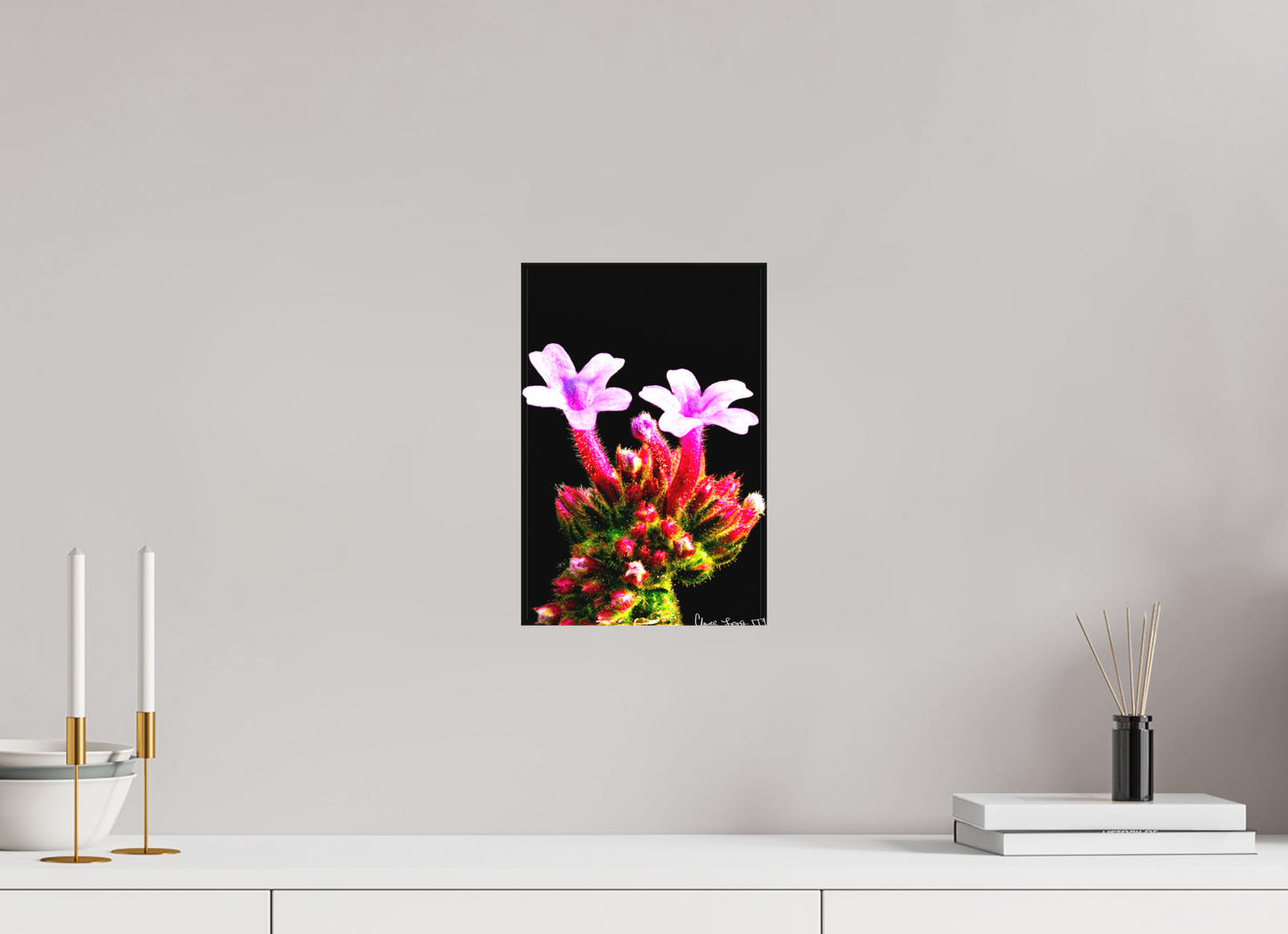 8 x 12″, Matte Canvas Vebena Bonariensis Pair