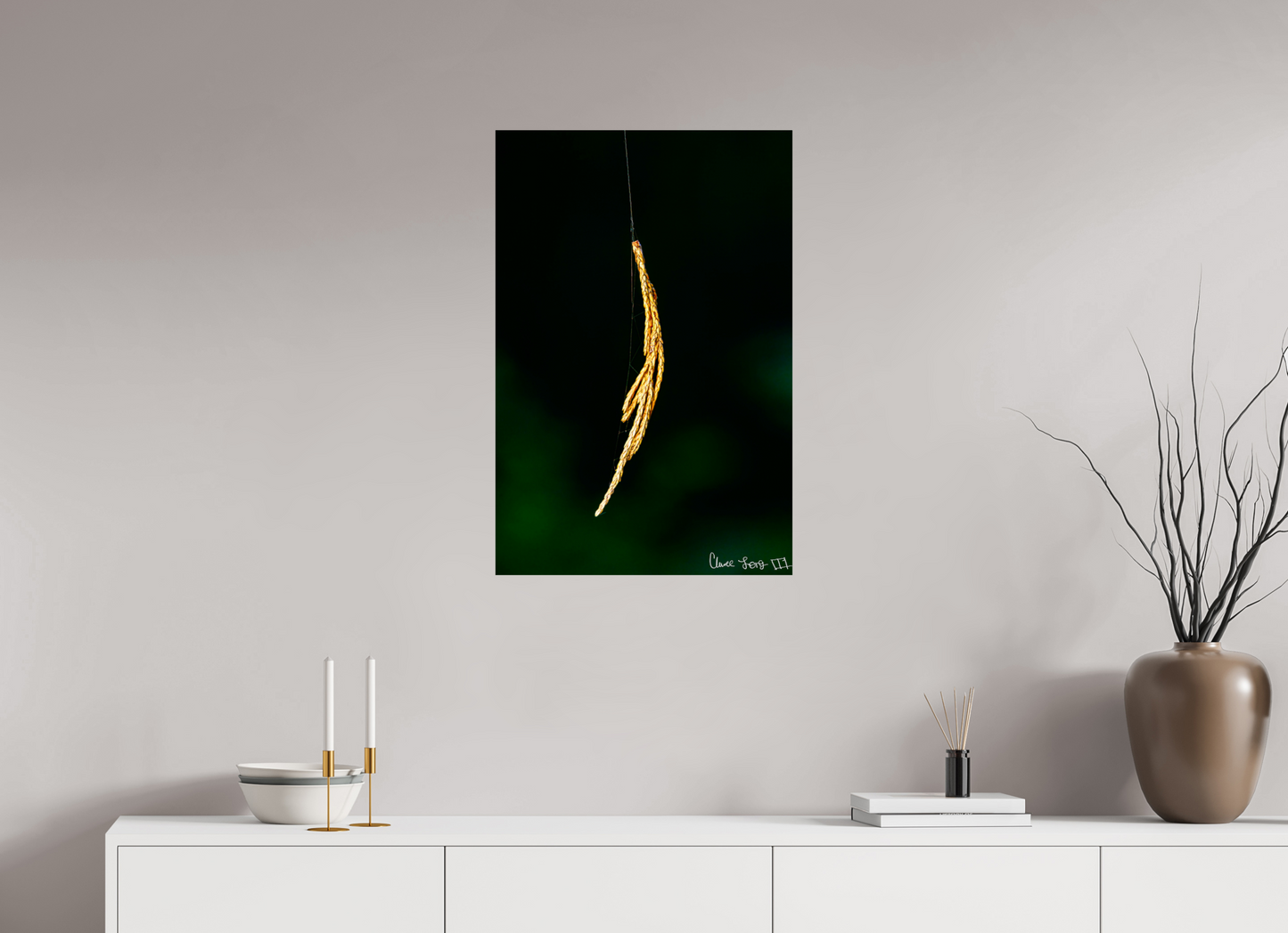 20 x 30″, Glossy Metal Nature’s Tether