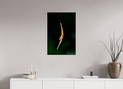 20 x 30″, Glossy Metal Nature’s Tether