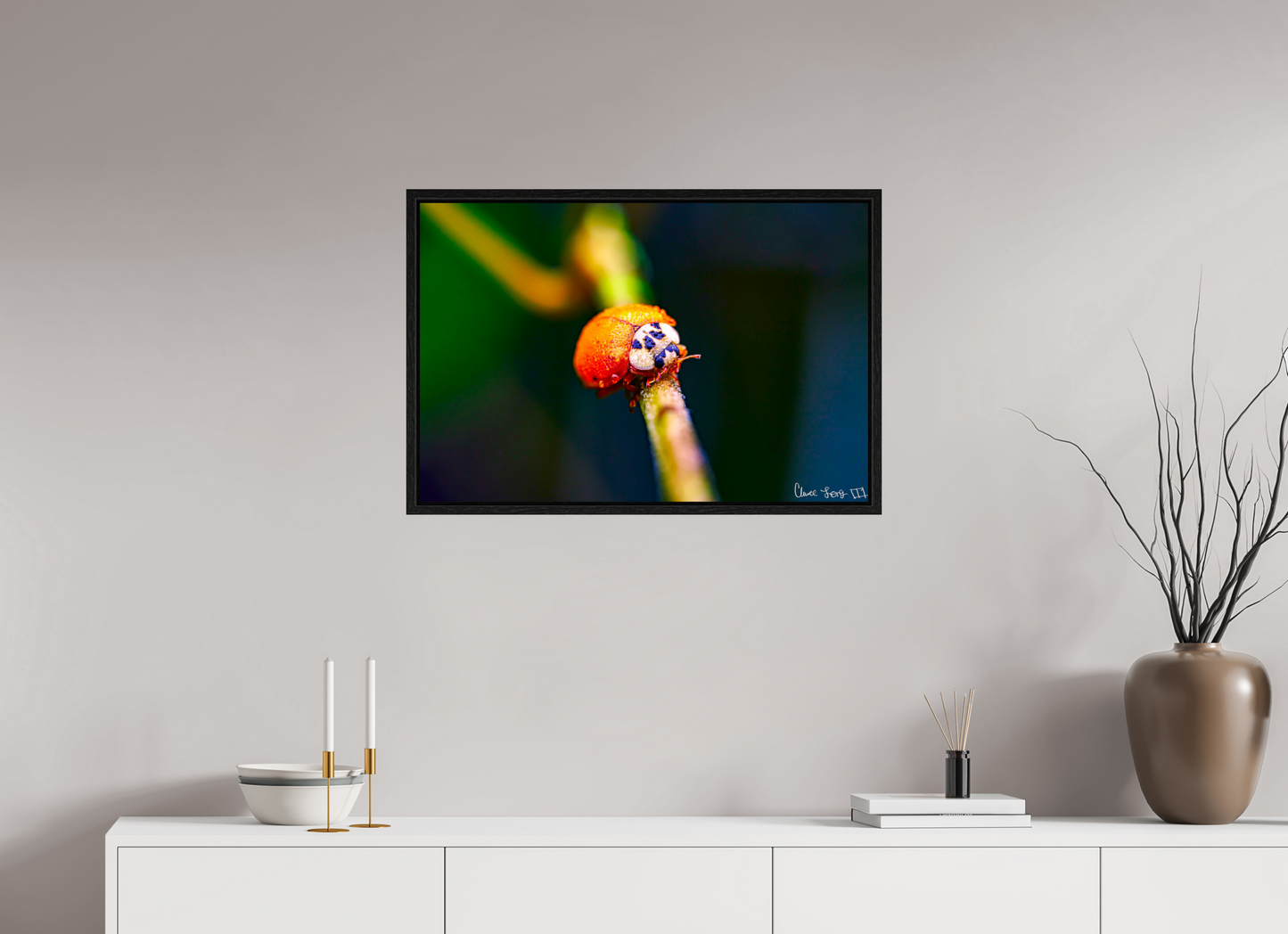 30 x 20″, Floater Frame Black Oak Dew-Kissed Ladybug