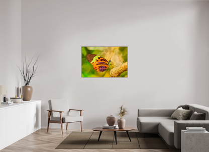 45 x 30″, Floater Frame Maple White Flamboyance