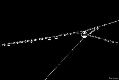 Main image Wispy Junction