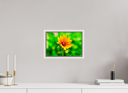 12 x 8″, Floater Frame Maple White Stillness in the Blur