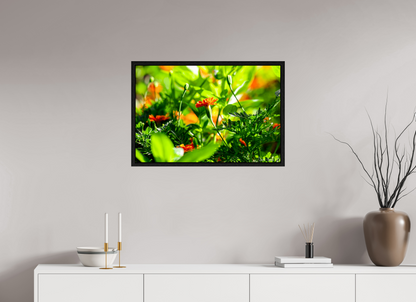 30 x 20″, Floater Frame Black Oak Prominence