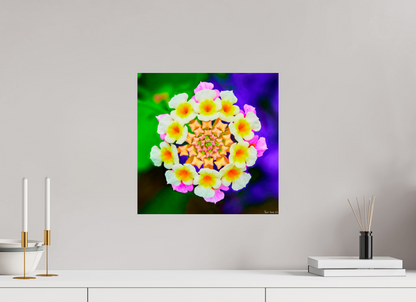15 x 15″, Photo Print on Aluminum Backing Quintessence