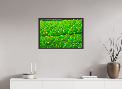 30 x 20″, Floater Frame Alder Brown Smile