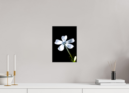 8 x 12″, Glossy Canvas Silver Petals