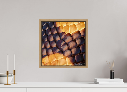 15 x 15″, Floater Frame Natural Oak Python’s Glow