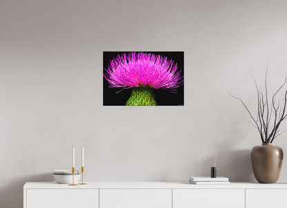 24 x 16″, Matte Canvas Silybum