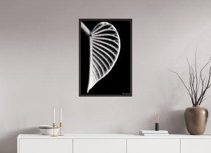 20 x 30″, Floater Frame Alder Brown Onyx Organ