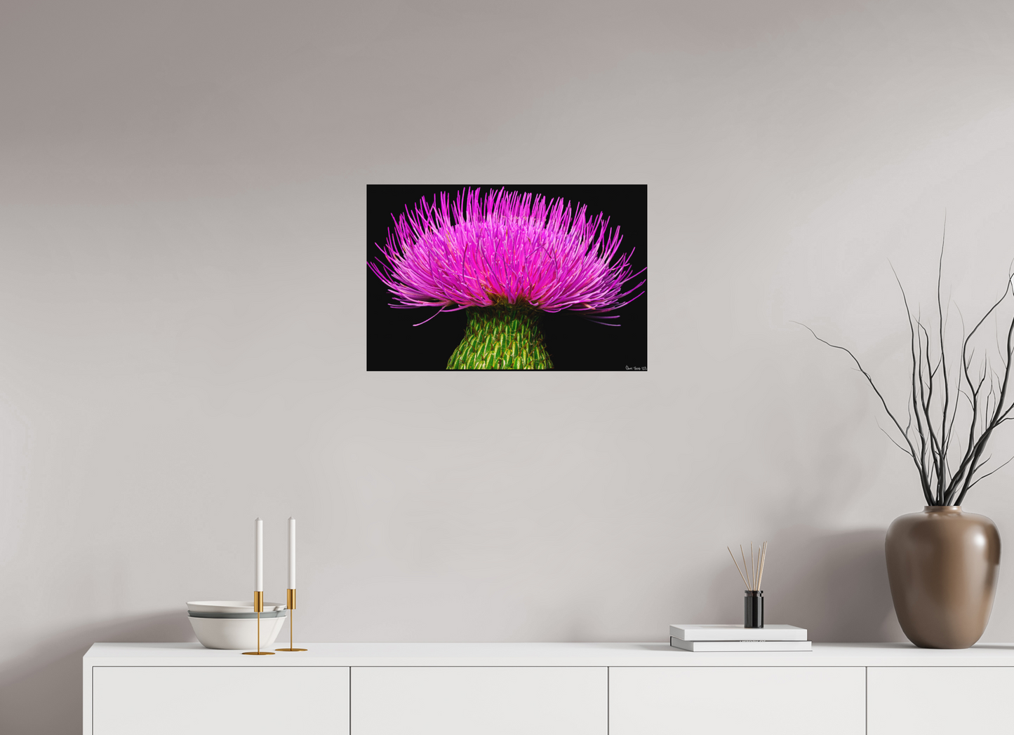 24 x 16″, Matte Metal Silybum