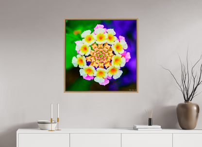 30 x 30″, Floater Frame Natural Oak Quintessence