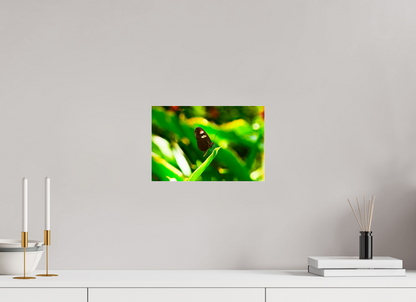 12 x 8″, Acrylic Time Stands Still