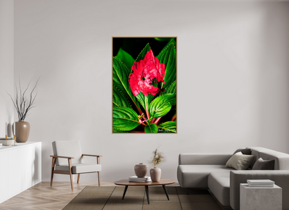 44 x 66″, Floater Frame Natural Oak Subsume